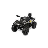Elektrinis keturratis Toyz Can-Am Outlander, Grey