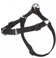 Dingo Easy Walk petnešos šunų tempimui 48-64cm juoda