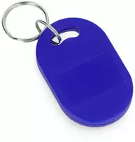 Oem 125MHz RFID/NFC raktų pakabukas - 10 vnt.