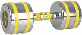 Chromuotas hantelis inSPORTline Yellsteel 12 kg