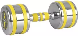 Chromuotas hantelis inSPORTline Yellsteel 9kg