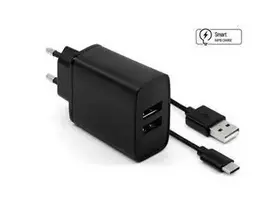 Fixed Pataisytas dvigubas USB kelioninio įkroviklio USB/USB-C laidas