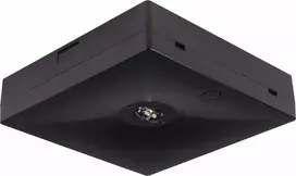 Intelight Ant paviršiaus montuojamas avarinis šviestuvas STARLET QUAD LED SO 150 A 1H MT IP20 BLK / INLEWA 92996