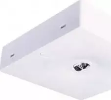 Intelight Ant paviršiaus montuojamas avarinis šviestuvas STARLET QUAD LED SOH 350 A 2H AT IP20 / atviras objektyvas aukštoms patalpoms / INLEWA 92875