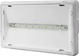AWEX avarinis šviestuvas EXIT IP65 ECO LED AT 1W 120lm 1h vienos paskirties balta (ETE/1W/ESE/AT/WH)