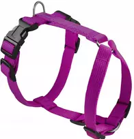 Chaba CH APSAUGOS DIRŽAI M (P)25-40 (T)35-55X2CM FUCHSIA 5069