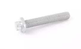 BMW E90 Torx varžtas Originalus 11287530315