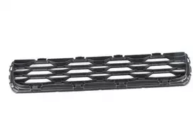 Bmw Mini F55 F56 Priekinio Buferio Apatinės Centrinės Grotelės Originalus 51117360738