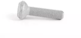BMW Kaklo Varžtas F20 F21 F22 F30 F31 F32 F33 F34 F36 Originalus 31206783065