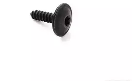 PORSCHE T25 Torx varžtas N90775001 N90648702