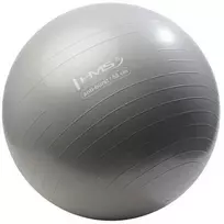 YB02 NAUJAS 55 CM GRAFITŲ GIMNASTIKOS KAMUOLYS HMS