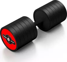 Gumuotas hantelis Marbo Sport, raudonas, 45 kg