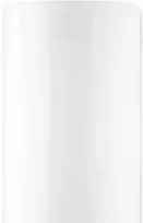 Bosch Tronic 4500 T 100 - Elektrinis vandens šildytuvas su elektroniniu ekranu. Be saugos įtaisų.