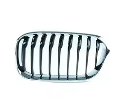 Bmw Kairysis Groteles F20 F21 51137371685 Originalus 51137371685