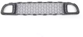 BMW Priekinis Centrinis Apatinis Grotelių Apdailos MINI R56 R55 R57 Originalus 51117289990