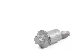 BMW Torx Varžtas 1 E81 E87 E90 3 E92 E93 5 E60 F10 7 E65 F01 X1 E84 X3 E83 X5 E70 Originalus 11127558448