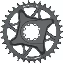 Priekinis dantratis SRAM GX Eagle T-Type D1 Direct Mount 3mm offset 34T pilkas