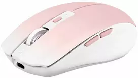 Pelė TnB Myszka Pelė Belaidė Bluetooth 2.4ghz Usb-c 800-1600 Dpi 500mah T"nb / Mwgradientpk