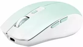 Pelė TnB Myszka Pelė Belaidė Bluetooth 2.4ghz Usb-c 800-1600 Dpi 500mah T"nb / Mwgradientbl