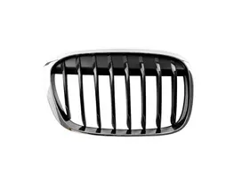 BMW Priekinis Dešinysis Grillis X1 F48 2014 2019 Originalus 51117383364