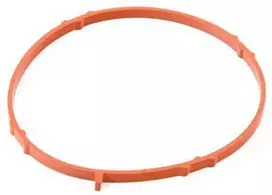Porsche 911 718 Cayman GT3 GT4 Seal Originalus 0PB129219