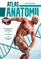 SBM anatomijos atlasas