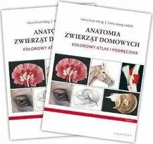 Galaktyka Galaktika naminių gyvūnėlių anatomija. Spalvingas atlasas ir žinynas. 4-asis leidimas