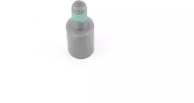 BMW Lagerschraube Selbstsichernd F10 F11 G30 Originalus 11317584402