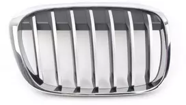BMW X1 F48 Priekinis Dešinys Grilis Originalus 51117383366