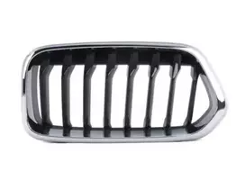 BMW F39 priekinės grotelės kairės pusės originalios 51137424777