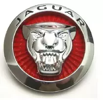 Jaguar F Pace X761 Radiatoriaus Grotelių Ženkliukas Originalus C2D52972