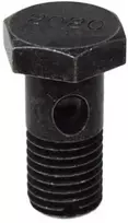 Volvo S60 S80 V70 P26 XC70 XC90 Banjo Bolt Originalus 31325709