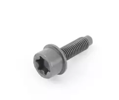 BMW F10 apykaklės varžtas Originalus 11277619309