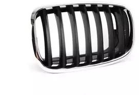 BMW E70 priekinės inksto kairės pusės grotelės originalios 51137157687