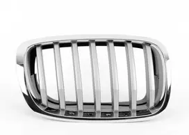 BMW E70 priekinio radiatoriaus "Kidney Titanium" grotelės dešinėje pusėje originalios 51137185224