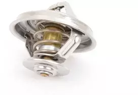 Šilumaikestis VAG Volkswagen Passat Audi A4 A6 A8 Originalus 078121113G