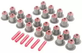 Originalus BMW E38 E39 E46 E53 E60 vožtuvo stiebo sandarinimo žiedų remonto rinkinys OEM 11349071732