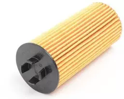 5L 5 litrų ORIGINALUS BMW variklio alyva 5W30 LongLife-04 + alyvos filtras 11428570590