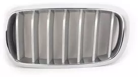 Genuine Priekinis Radiatorius Titano Inkstų Grotelės Kairė Tinka BMW X5 F15 2014-