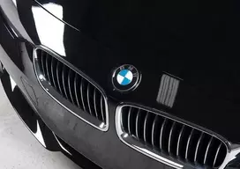 BMW Originalus Priekinis Kairysis Inksto Grotelės Prabangos Linija F30/F31 3 Serija 51137263481