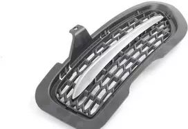 AUTENTIŠKAS OEM BMW Z4 E89 Roadster Priekinis groteles su chromo juostele dešinėje 51117262830