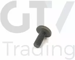 Originalus BMW 1 2 3 4 5 6 7 X1 X3 X4 X5 X6 Z4 2005 ir vėliau Torx varžtas 11417520144