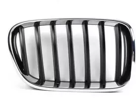 BMW originalus priekinis dešinysis groteles 51117210726