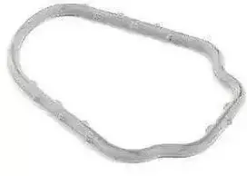 Originalus Porsche vandens siurblio termostato korpuso tarpiklis Cayenne OEM 95510611500