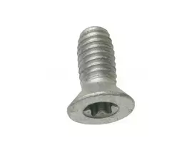Land Rover Range Rover Evoque Stabdžių Disko Laikymo Torx Varžtas M10x20mm Originalus LR002080