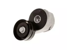 Land Rover Variklio Juostos Tempimo Tensioner Defender Discovery 2 2 5L TD5 Originalus ERR6951