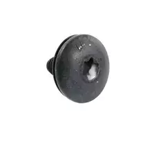 BMW Torx Sraigas Su Rėžiu 3 E46 316i 318d 320d 323i 325i 330d 330i Originalus 07146959924