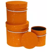 Gėlių dėžutė 3 vnt. oranžinė ROZETTE