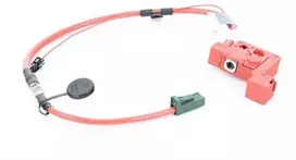 Bmw Z4 E89 01 2008 08 2016 Baterijos Kabelis Originalus 61129249103