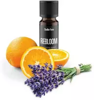 Drėkintuvas Stadler Form Essential Oil REBLOOM - 10 ml